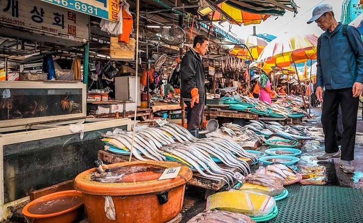 mejores-mercados-street-food-busan