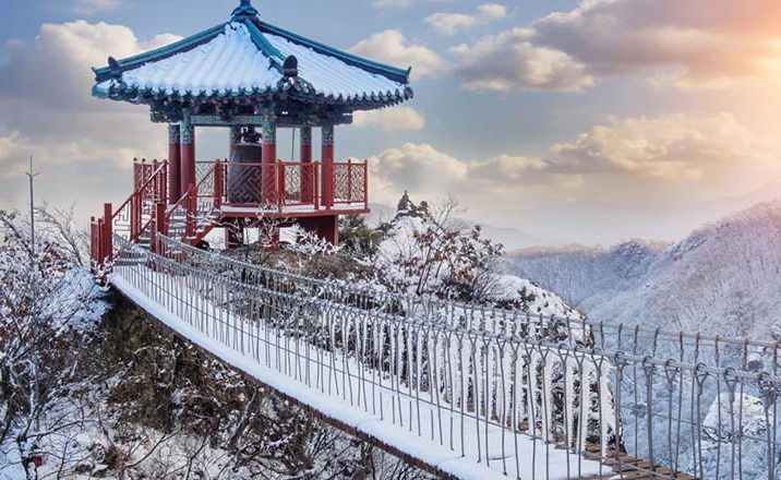 seguro-medico-viaje-corea-del-sur-cual-elegir