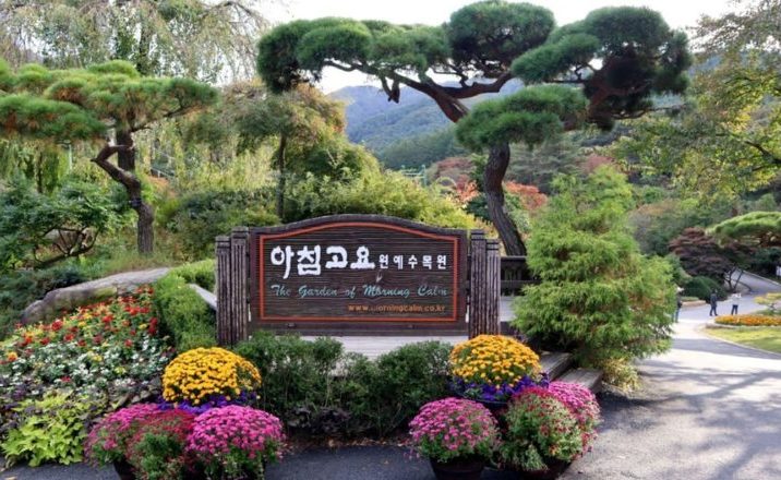 jardin calma matutina jardin privado mas antiguo corea